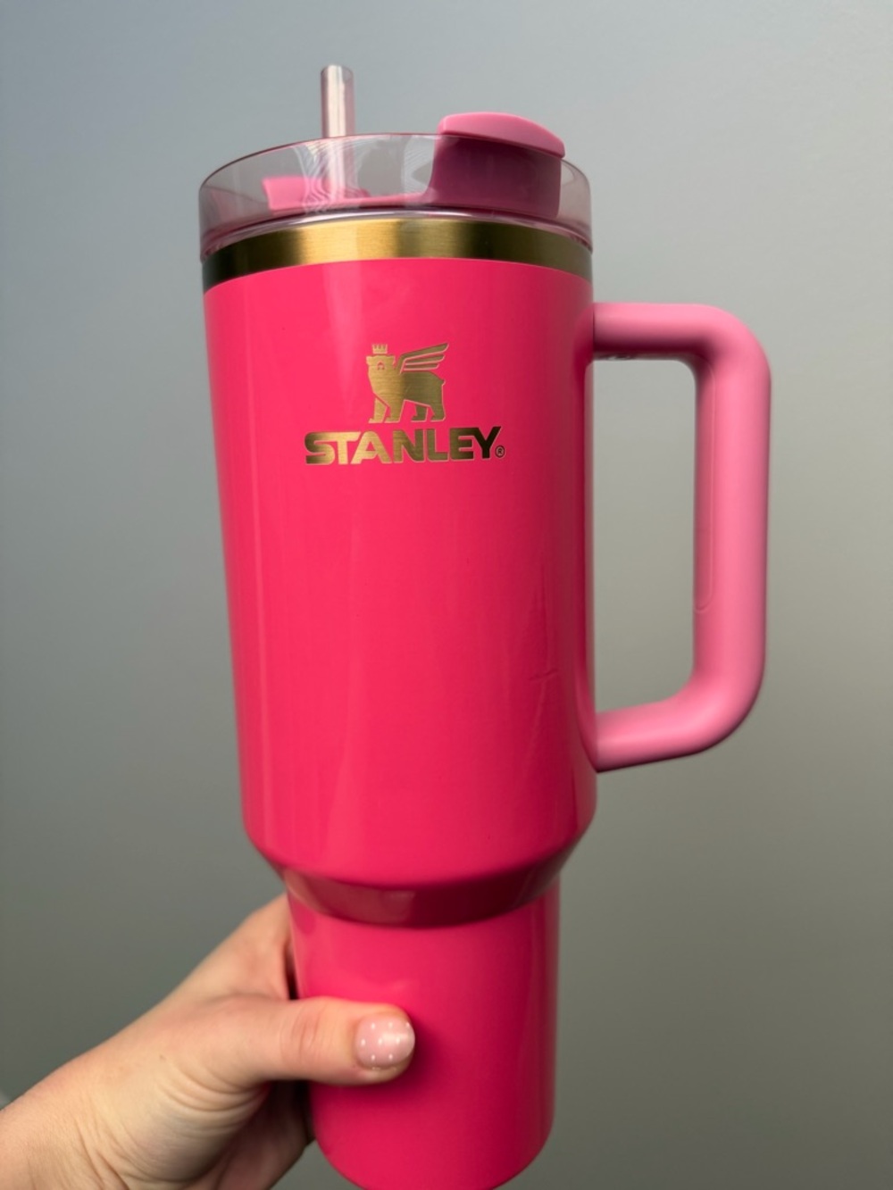Stanley 40oz Hot Pink Insulated Travel Tumbler with Handle